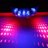 Professional Waterproof Bicycle LED Safety Taillight  5 LED  Dual Laser Warning System 11