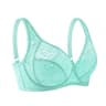 Womens UltraThin Perspective Deep V Lace Sheer Plus Size Bra 10