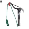 HighBranch Telescopic Scissors  Fruit Picker  PulleyAssisted Trimming  Harvesting Tool 7