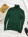 Korean Slim Turtleneck Sweater  2025 AutumnWinter RibKnit Pullover Jumper For Women 6