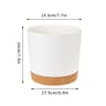 SelfWatering Plant Pots  HighPerformance Automatic Plastic Flowerpots With Integrated Saucer 10