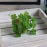 Mini Artificial Cactus Plant  HighPerformance 24Head Realistic Succulent  Real Touch Micro Landscap 6