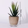 Mini Evergreen Simulated Tree  HighPerformance Artificial Succulent Pot Plant  Office Table Ornamen 17