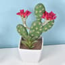 Mini Realistic Fake Cactus  HighPerformance Artificial Succulent Without Pot  Cute Potted Plant Dec 8
