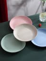 Lightweight Wheat Straw Dinner Plates  Unbreakable And Reusable Set 6