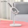 Rabbit Desktop Digital Hub And HighFidelity Aesthetic Stabilization Architecture 10