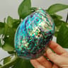 Natural Paua Abalone Shell Smudge Kit  Polished Shell With Wooden Tripod Stand 12