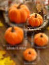 Premium Velvet Artificial Pumpkin  Elegant Red Fall Decor For Thanksgiving  Halloween 7