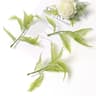 10Pcs Artificial Greenery Leaves  Decorative Foliage For Cake  Candy Boxes  DIY Wreath  Garland Ste 21