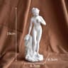Mythological Venus Goddess Statue  Creative Resin Character Sculpture  Modern Aesthetic Room  Desk  6