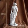 Mythological Venus Goddess Statue  Creative Resin Character Sculpture  Modern Aesthetic Room  Desk  7