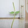 63Inch Adjustable Floor Standing Flower Pole  HeavyDuty Base For Giant Paper Flowers  Wedding Displ 10