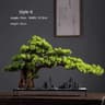 Simulation Welcome Pine Bonsai  Professional FourSeasons Landscape Tree  Executive Living Room  Des 11