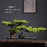 Simulation Welcome Pine Bonsai  Professional FourSeasons Landscape Tree  Executive Living Room  Des 12