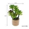 1 12 Miniature Potted Flower  Dollhouse Green Plant Model  Executive MicroLandscape Sanctuary Decor 7