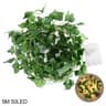 Botanical Fairy Vines  Artificial Leaf Garland String Lights  Executive Garden  Studio Sanctuary De 7