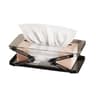 Nexus Rise Vault  Minimalist HeightAdjustable Extendable Tissue Case  Automatic Lift Dispenser 6