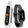 Remote Pet Training Collar 6