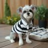 Classic Casual Pet Polo Shirt 9