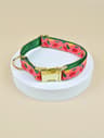 Designer DoubleSided Printed Pet Collar With Gold Hardware 10