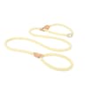 HeavyDuty Braided Rope Slip Lead 10