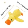 Soft Plush Interactive Squeaky Companion 13