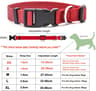 Classic Adjustable Nylon Pet Collar 9