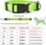 Classic Adjustable Nylon Pet Collar 11