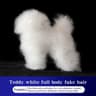 Professional Groomers Teddy Simulation Model 9