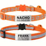 SafetyFirst Personalized Reflective Cat Collar Set 7