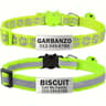 SafetyFirst Personalized Reflective Cat Collar Set 8