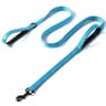 DualControl Heavy Duty ProTrainer Leash 14