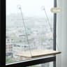 WindowMount Sunny Pet Hammock 7