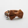 Dapper Velvet Bowtie Safety Collar 6