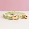 PetalPlush Personalized Safety Collar  Leash Set 10