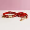 PetalPlush Personalized Safety Collar  Leash Set 23