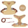 AeroMesh Adventure Harness  Leash Set 9