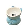 Ceramic OrthopedicIncline Nutritional Basin 6