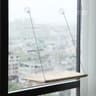 Elevated Window Lounge  Sunbathing Perch 7