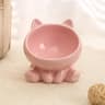 Ergonomic Ceramic HighFoot Pet Bowl 12