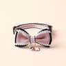 Bespoke Padded Leather ID Collar  Leash Set 6