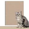 SelfAdhesive HeavyDuty Trimmable Carpet Scratching Mat 11