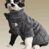 Thick Winter Warm Lambswool Coat For Hairless Cats And Small Dogs 7