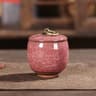 Portable Ceramic Tea Coffee  Sugar Storage Jar 9