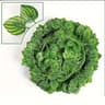 Faux Ivy Leaf Garlands And Hanging Silk Vines 9