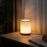 Vintage Rustic Small Desktop LED Lamp Ambient Night Light For Bedroom Living Room 7