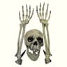 Halloween Ground Stake Skeleton Bone Set With Skull Head  Hands 9