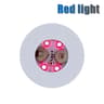 LED Coaster Lights  Glowing Wine Bottle Stickers  Colorful Party  Bar Lighting Decor 6