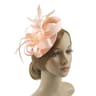 Feather Vine Cocktail Fascinator Hat For Special Occasions 10