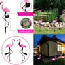Solar Peacock Garden Light Decorative Outdoor Lamp For Yard And Lawn 6